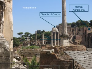 IMG_3677_Roman Forum1