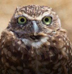 Summer 2023 Scholarships